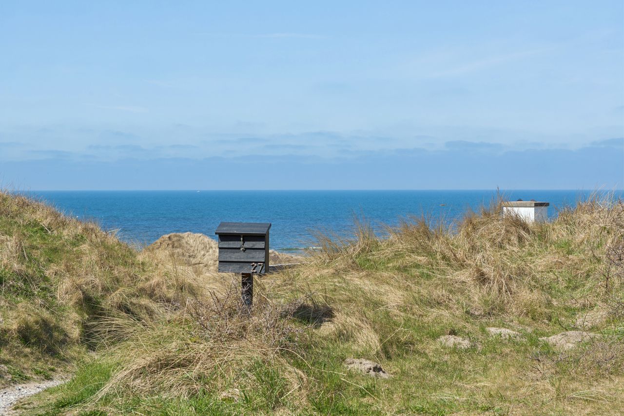 image 01